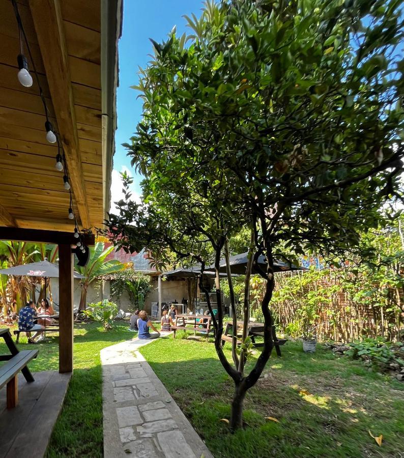 The Coffee Bean Hostel Сан-Кристобаль-де-Ла-Касас Экстерьер фото