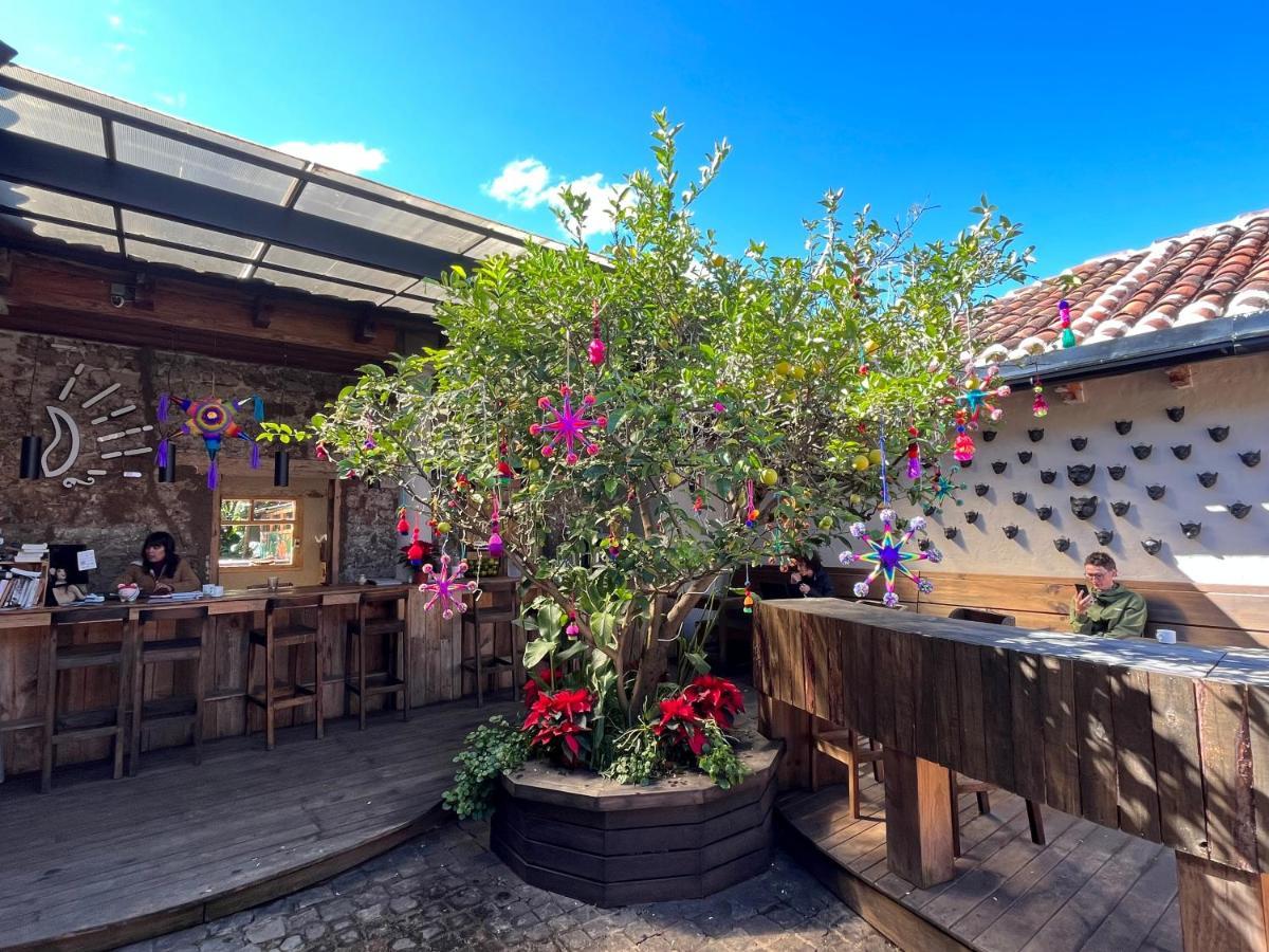 The Coffee Bean Hostel Сан-Кристобаль-де-Ла-Касас Экстерьер фото