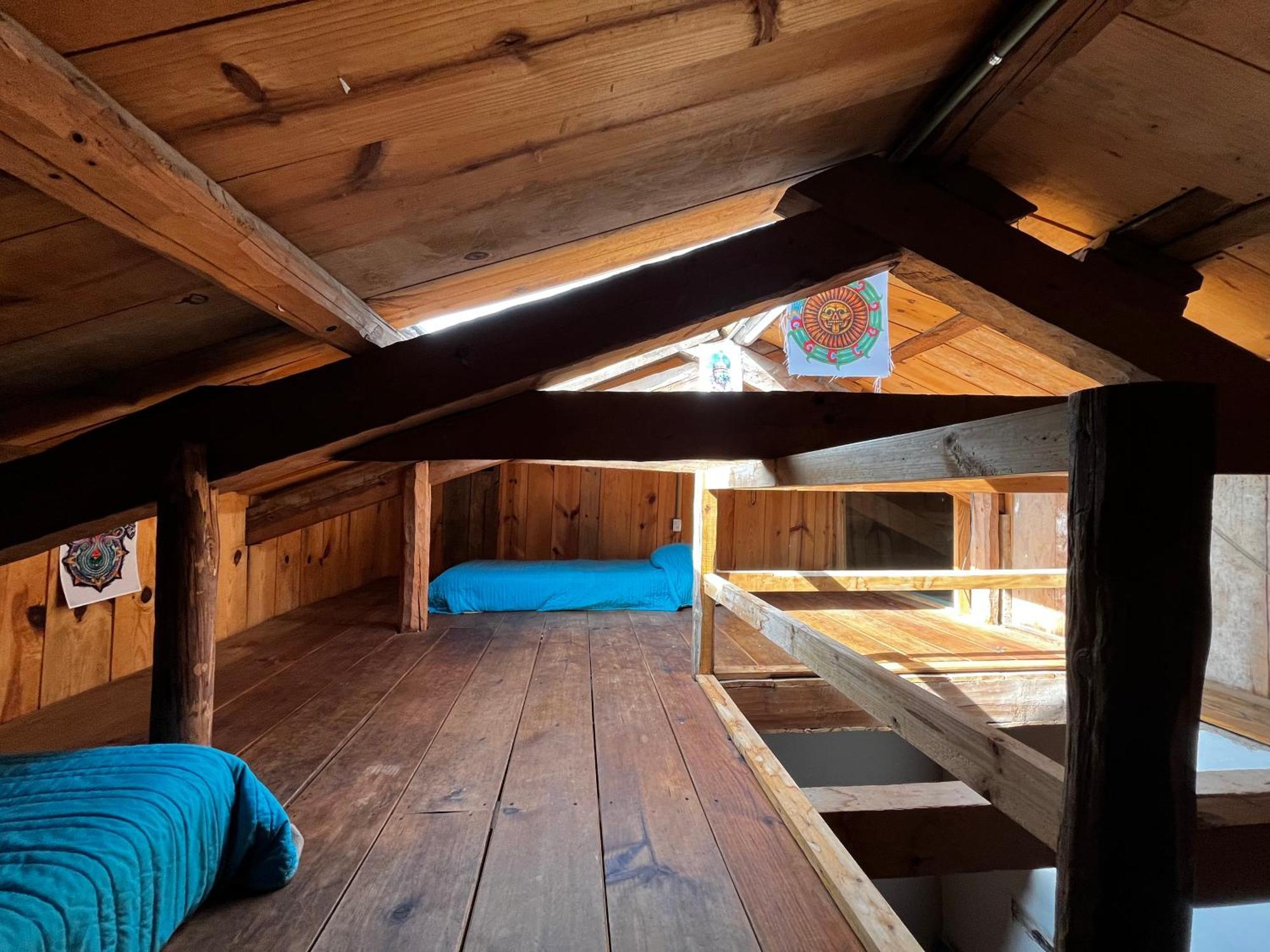 The Coffee Bean Hostel Сан-Кристобаль-де-Ла-Касас Экстерьер фото